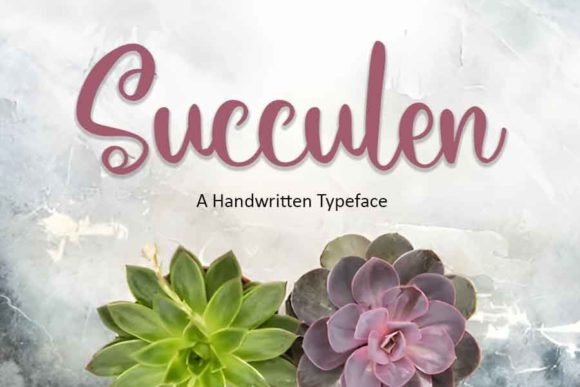 Elevate Your Brand with Succulen: A Delicate Script Font