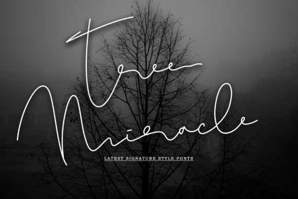 Tree Miracle Font: The Friendly Script for Viral Content